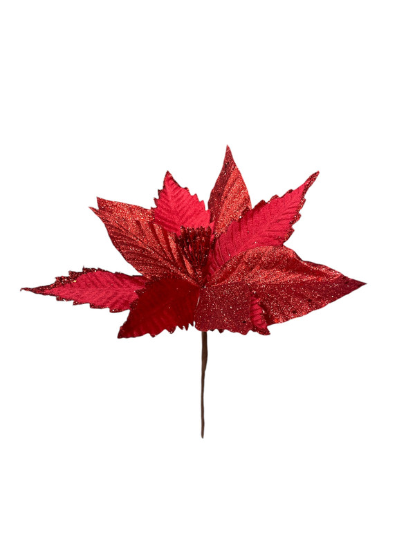FLOR DE PASCUA