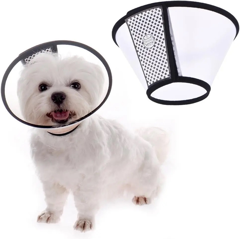 collar protector para mascotas