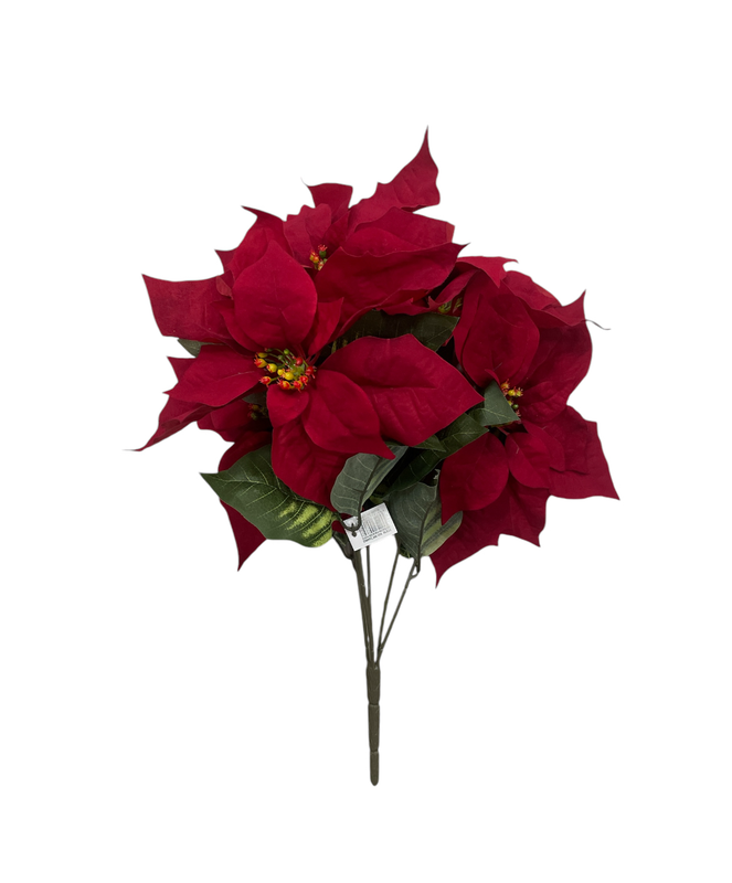 FLOR DE PASCUA