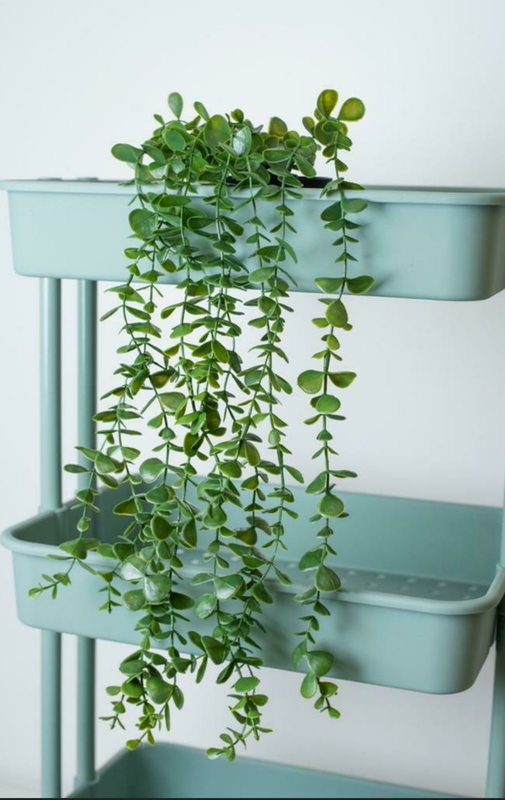 Paq.de 5 ramas verdes colgantes