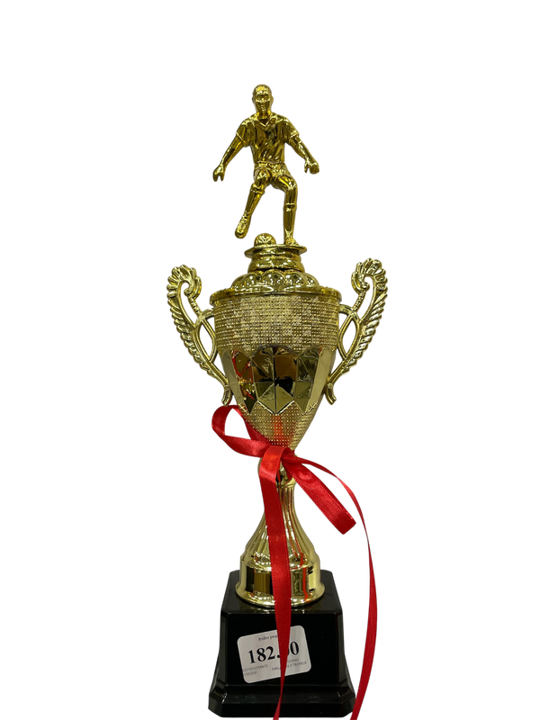 trofeo pequeño