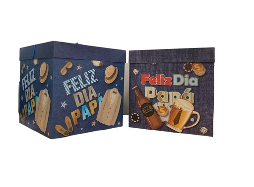 caja de regalo grande