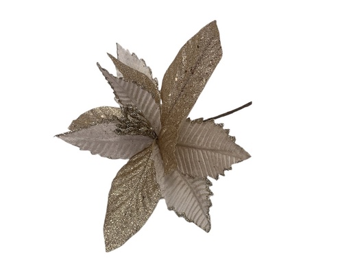 [CH-2380217-18] FLOR DE PASCUA