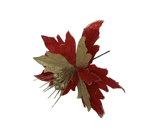 [CH-2380217-13] FLOR DE PASCUA