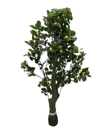 [Mc233820] Planta artificial