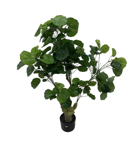 [Mc233827] planta artificial