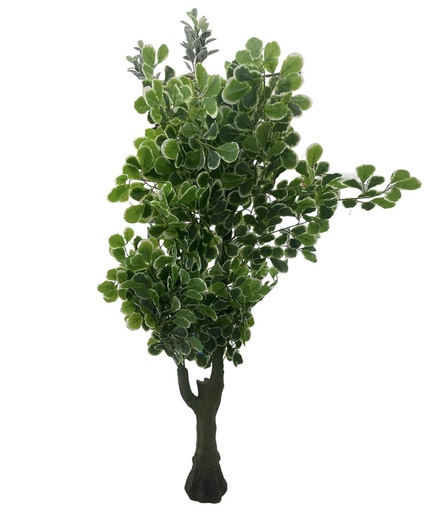 [mc232995] Planta artificial con hojas  verdes