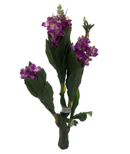 [MC233002] PLANTA CON FLORES MORADAS