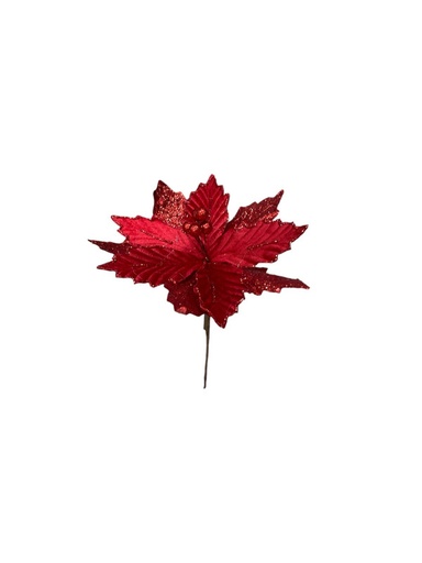 [CH-2380217-10] FLOR DE PASCUA