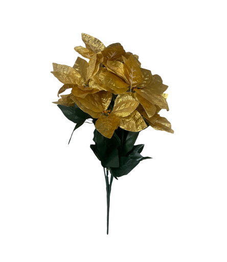 [MC244857] FLOR DE PASCUA