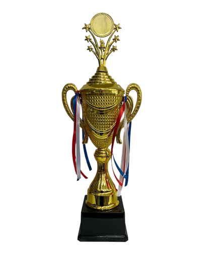 [MC245216] trofeo mediano 58 cm