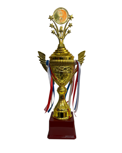 [MC245222] trofeo pequeño 51 cm