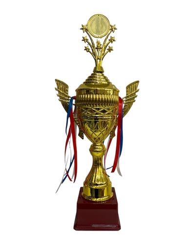 [MC245223] trofeo mediano 58 cm