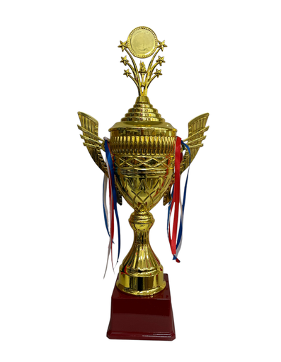[MC245224] trofeo grande 62 cm