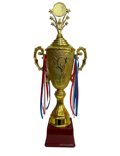 [MC245232] trofeo mediano 64 cm