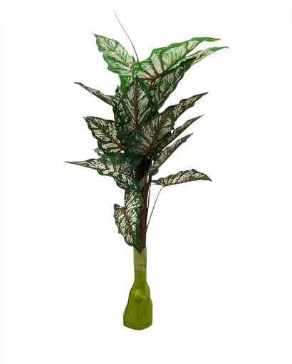 [MC232998] Planta artificial