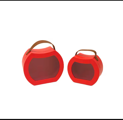 [RC220048-2] Cajas para regalo 2 pzs