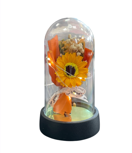 [MC247995] FLOR CON LUZ EN ESTUCHE