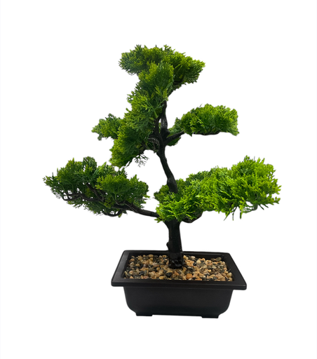 [FL-240375-6] ADORNO BONSAI PEQUEÑO