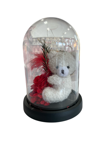 [Mc253195] osito con flor en estuche con luz