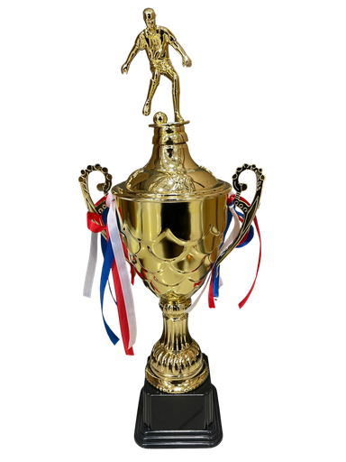 [Mc253841] Trofeo Mediano