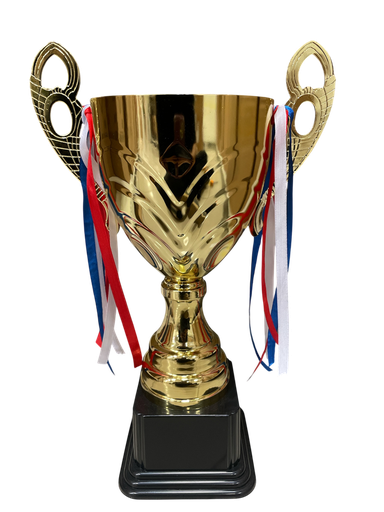 [Mc253846] Trofeo de Metal Fig Copa