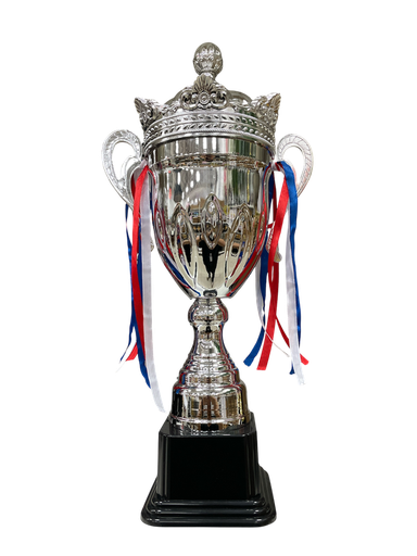 [Mc253862] trofeo mediano