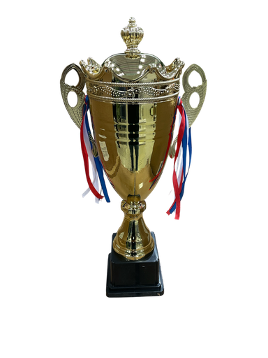 [Rc247529] TROFEO MEDIANO