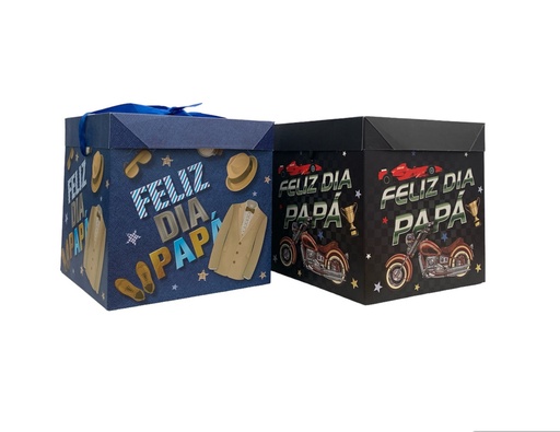 [MC221990] Caja de regalo grande(PA)